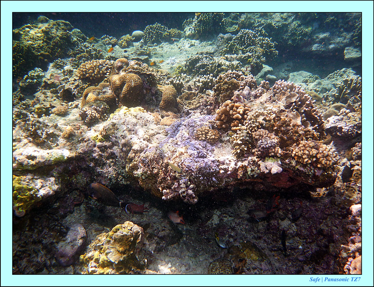 2012 - 07 - Gili - 55